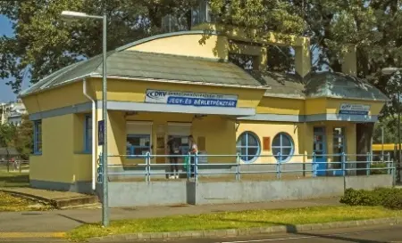 A képen kültéri, fa, ingatlan, Ingatlan látható
Automatikusan generált leírás